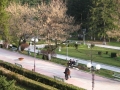 Parcul Central